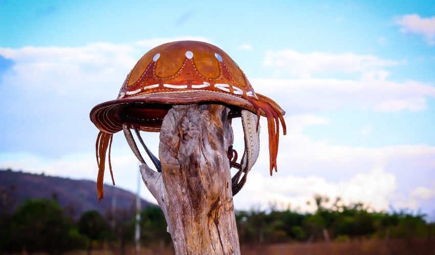 Turismo rural na região sisaleira: experiências autênticas no campo