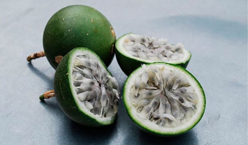 Sabores Exuberantes em Meio à Adversidade
