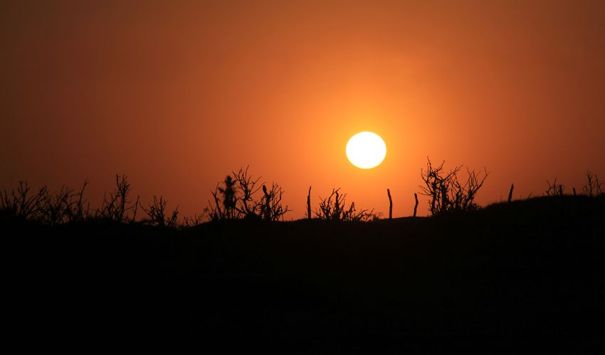 Turismo rural na região sisaleira: experiências autênticas no campo
