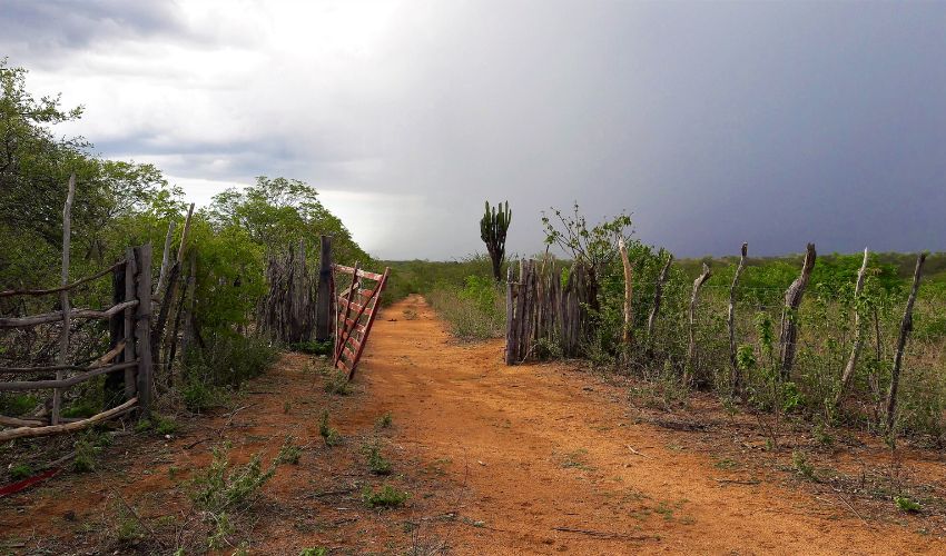 Turismo rural na região sisaleira: experiências autênticas no campo